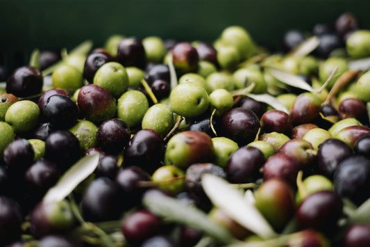 Greek Olives & Capers: A Guide to the Mediterranean Pantry Essentials